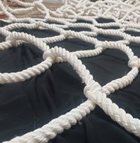 تور ایمنی
